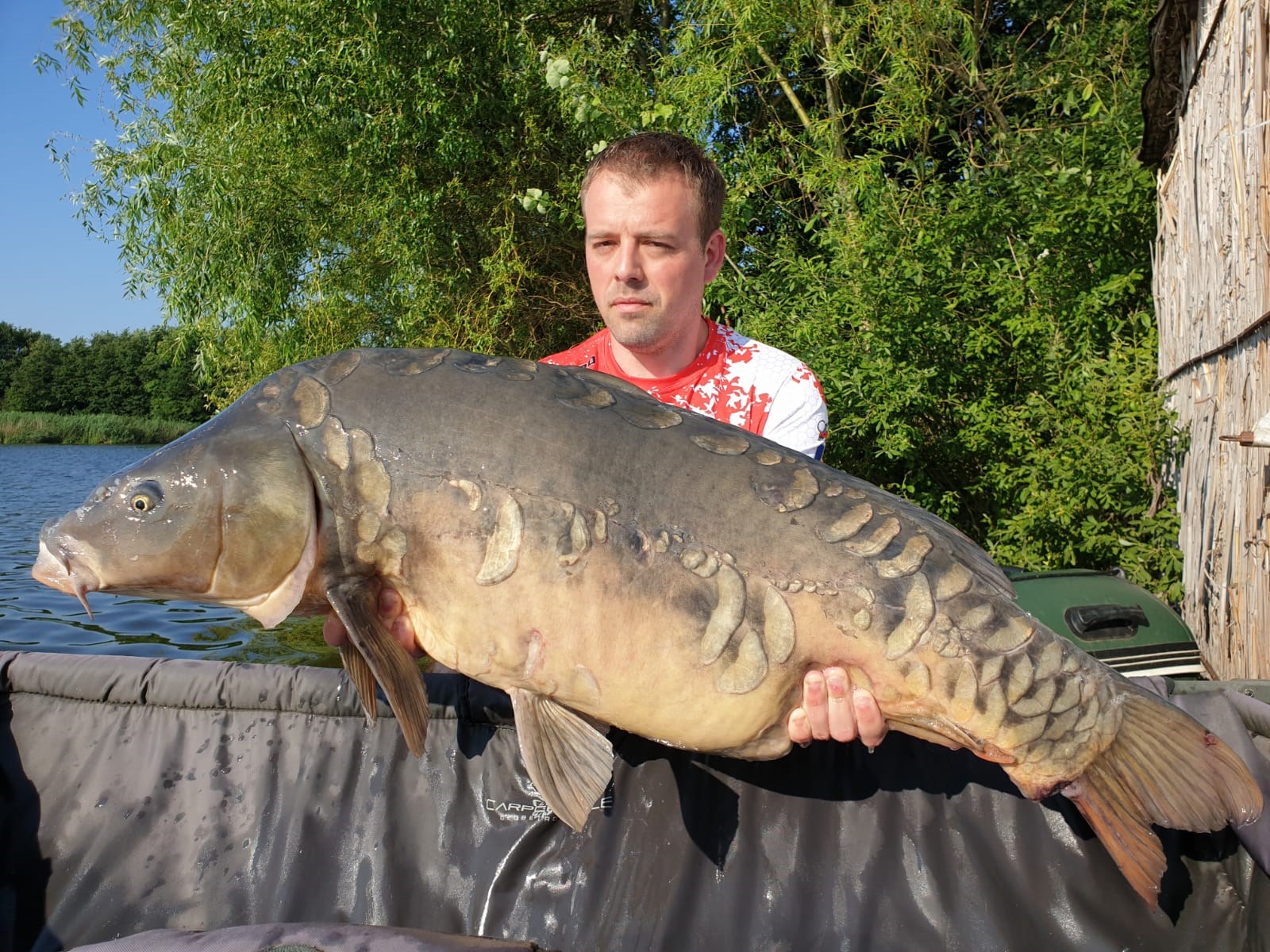 Tancabesti 22 - 25 iun. - 21 kg